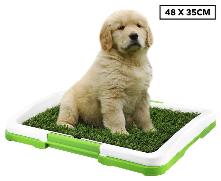 Vikings Vikings Puppy Training Pad In N A Waste Control Trade Me