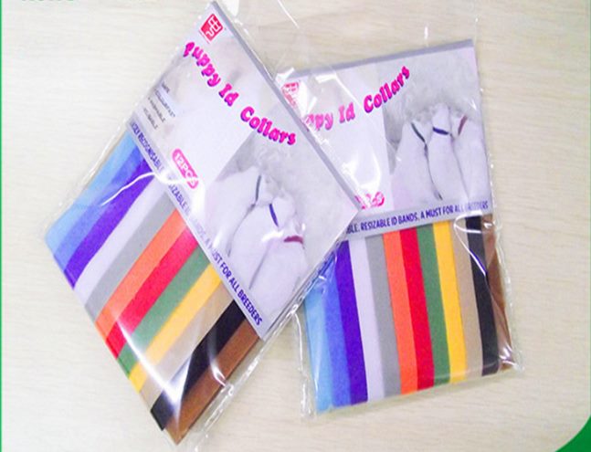 Pet collar kitten puppy collar Brand New Carousel 3