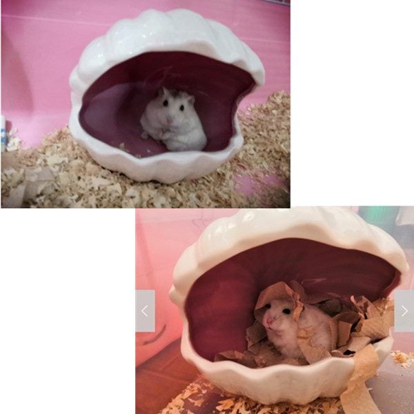 Small Animal Hamster Mouse Cage House Summer Cooling Pet Nest Shell Carousel 2