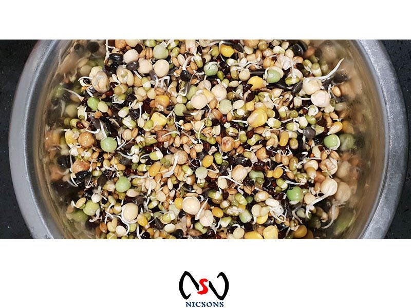 Topflite Bird Food SUPER Sprout Mix For Large birds (Cockatiel to Macaw) 2KG Carousel 2