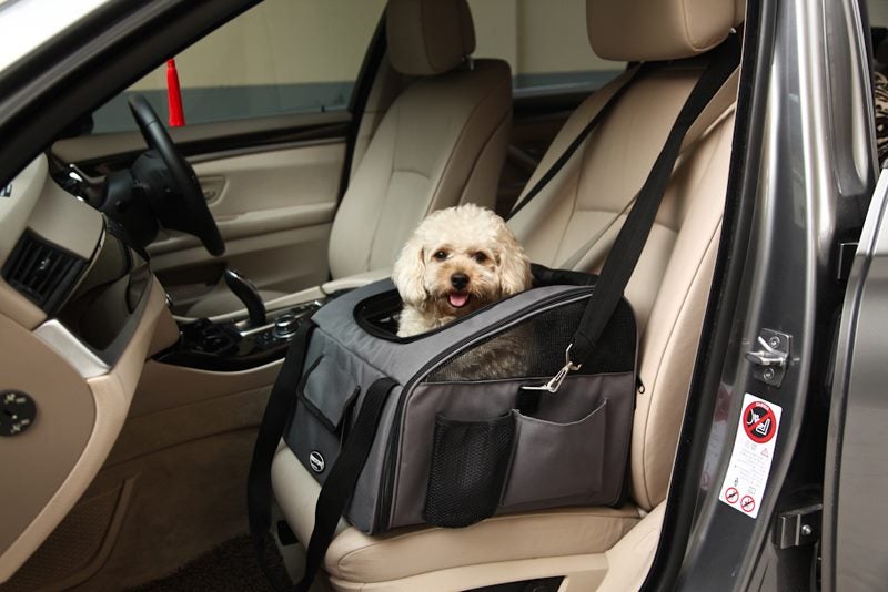 **Dog Luxury Car Seat or Dog Booster*$10 off Sale! Carousel 2