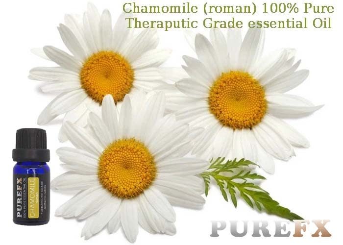 Chamomile (Roman) Essential Oil 5ml Carousel 1