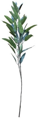 Artificial Long Leaf Branch (Green) Carousel 1