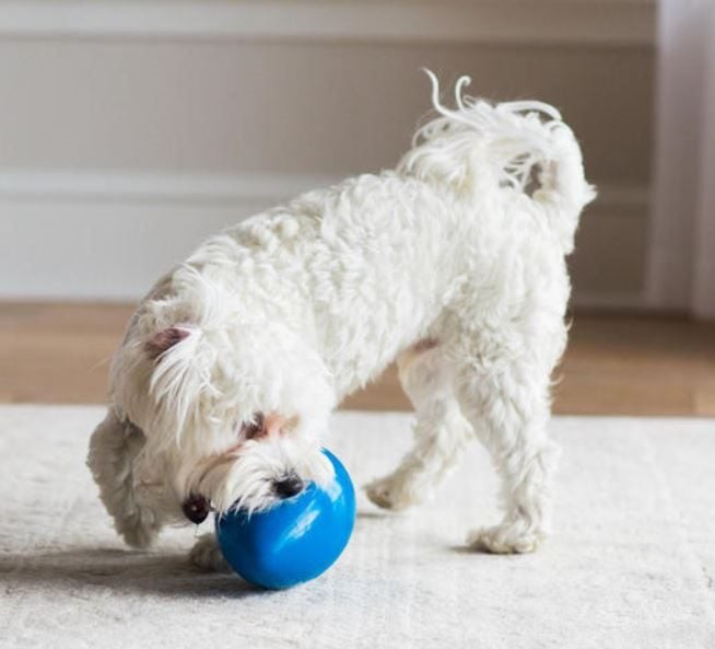 DOG TOY - JW MEGA EGG BALL MEDIUM 17.5CM BLUE Carousel 2