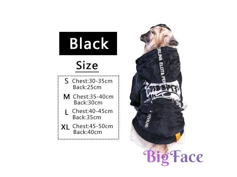Dog Apparel Carousel 1