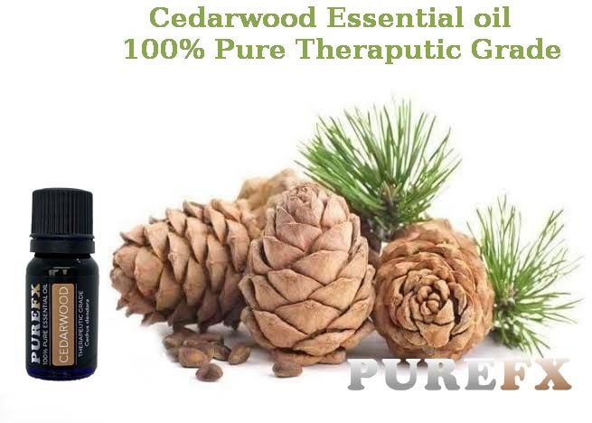 Cedarwood 100ml Essential oil 100% pure Carousel 1