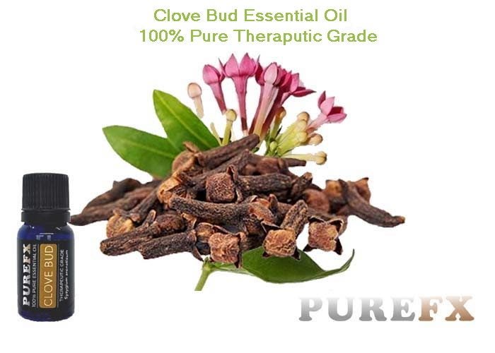 Clove Bud 100ml PureFX 100% pure essential oil Carousel 1