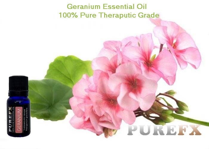 Geranium 25ml Essential Oil 100% Pure Carousel 1