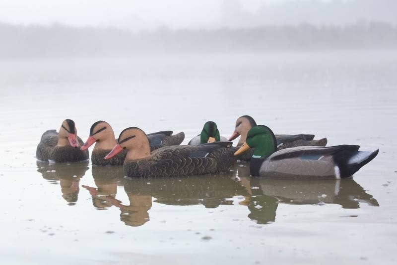 Mallard Decoys 20" Flocked 4 Hens 2 Drakes Carousel 2