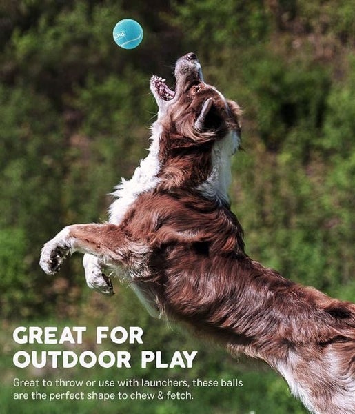 DOG TOY - OUTWARD HOUND SQUEAKER BALLZ EXTRA SMALL PACK 8 Carousel 5