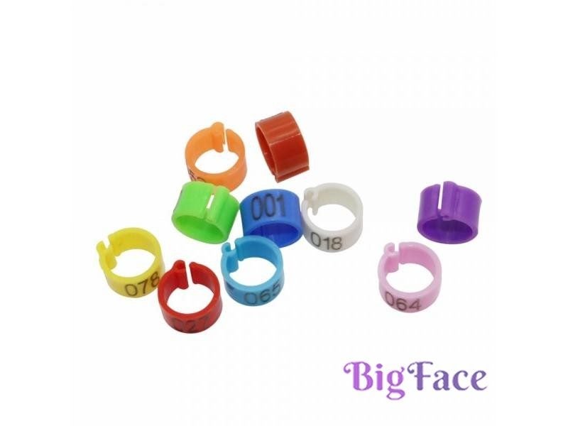 100 PCs Bird Clip Ring 8 Mm Plastic Digital Markup Parrot Pigeons 10 Colors Carousel 2