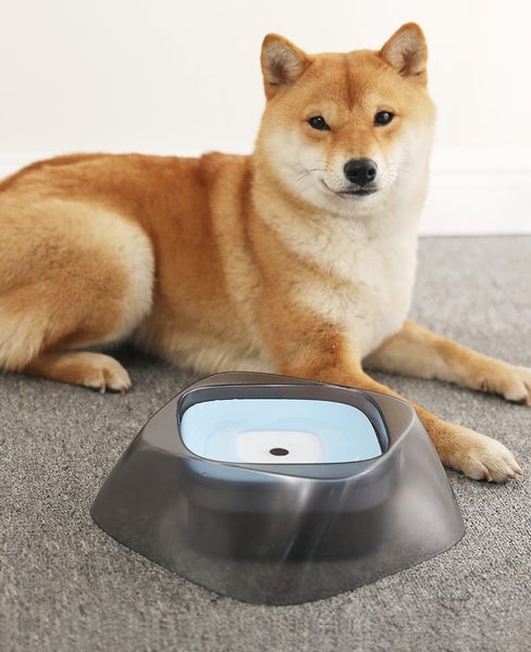 Pet Water Bowl New Carousel 1