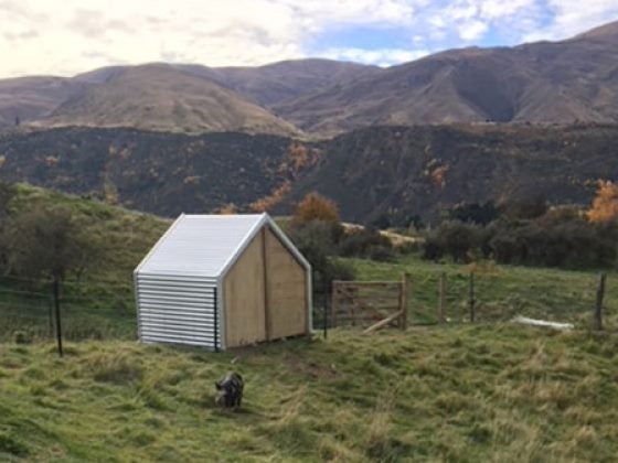 Easy to relocate Borderland Paddock Shelter Carousel 1