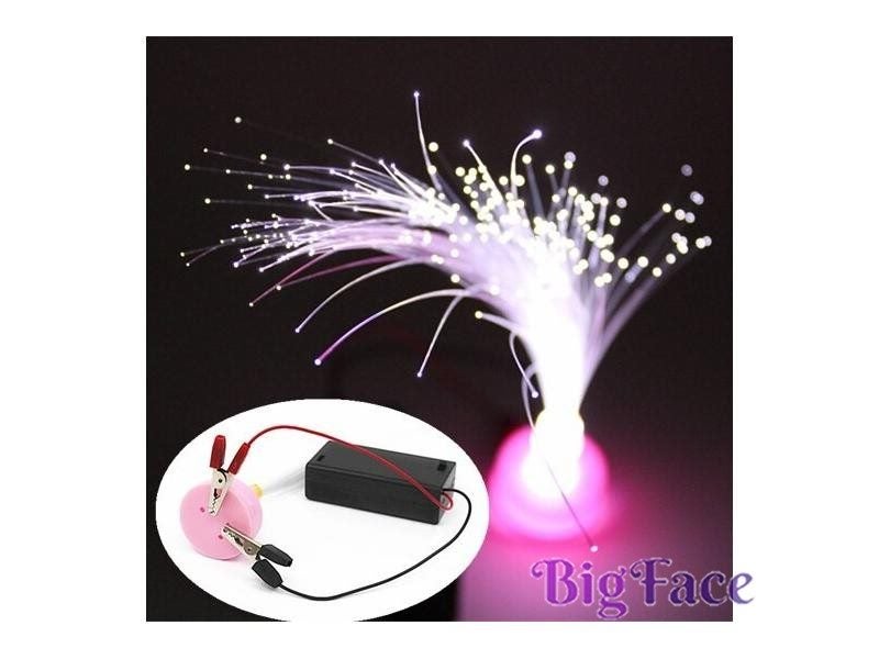Fun Physics Experiment DIY Colorful Fiber Optic Lights Home School Kit Carousel 2
