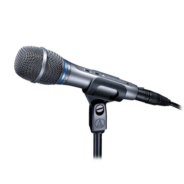 AE5400 :: AE5400 Live Vocal Mic Condenser Cardioid Carousel 1