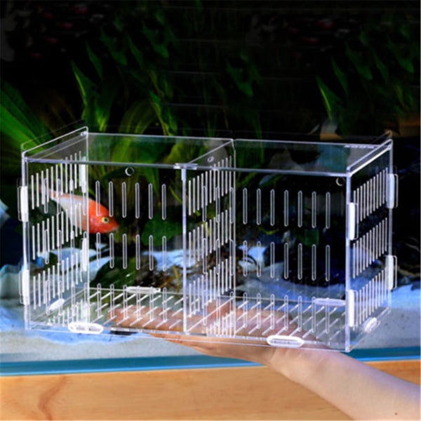 Acrylic Aquarium Fish Tank Guppy Double Breeding Breeder Rearing Box Hatchery Carousel 2