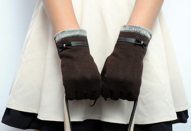 Winter Gloves Woman's Touch Screen Brown PRICE REDUCED629306982269451122