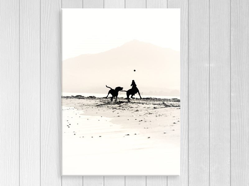 Beach Dogs - Contemporary Art - Animal - Art Prints Carousel 1