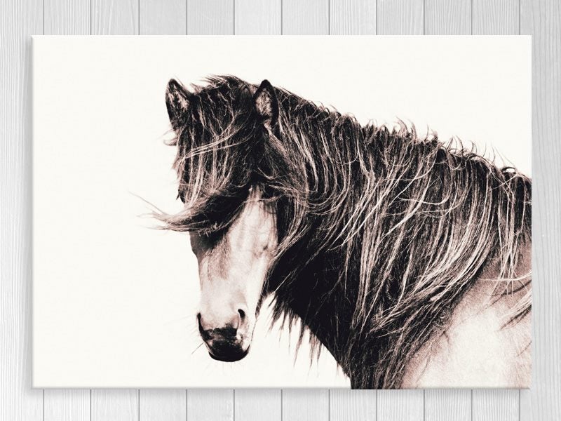 Horse - Contemporary Art - Animal - Art Prints - Wall Art Carousel 1