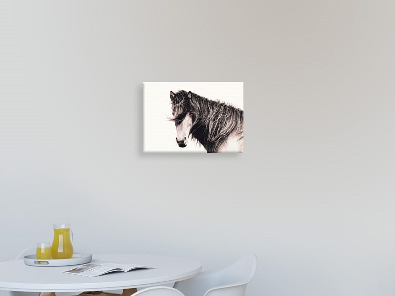 Horse - Contemporary Art - Animal - Art Prints - Wall Art Carousel 2