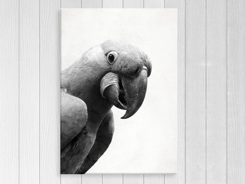 Bird Art - Parrot - Black And White - Contemporary Art - Art Prints Carousel 1