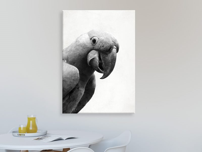 Bird Art - Parrot - Black And White - Contemporary Art - Art Prints Carousel 2