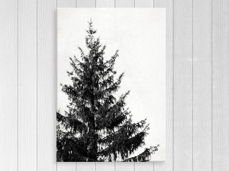 Black And White - Pine Tree - Contemporary Art - Wall Art - Art Prints Carousel 1