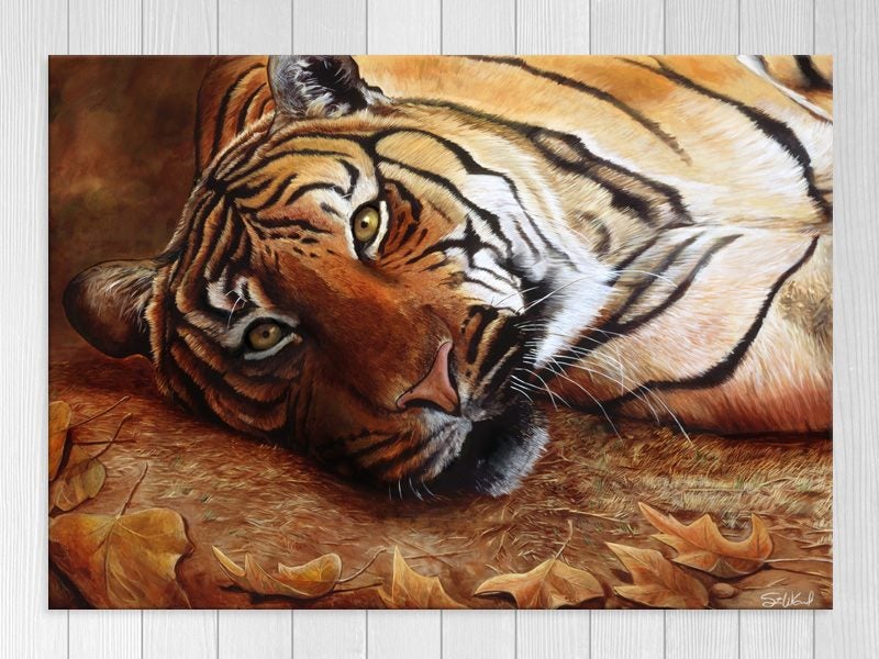 Tiger - Contemporary Art - Animal - Wall Art - Artwork - Art Prints Carousel 1