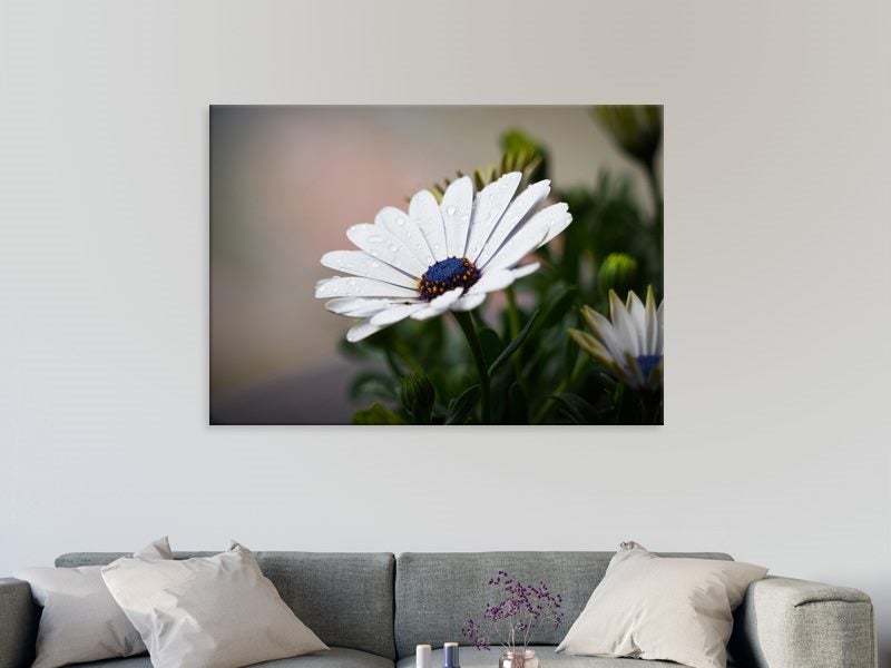 White Flower - Contemporary Art - Floral - Daisy - Artwork - Art Prints Carousel 2