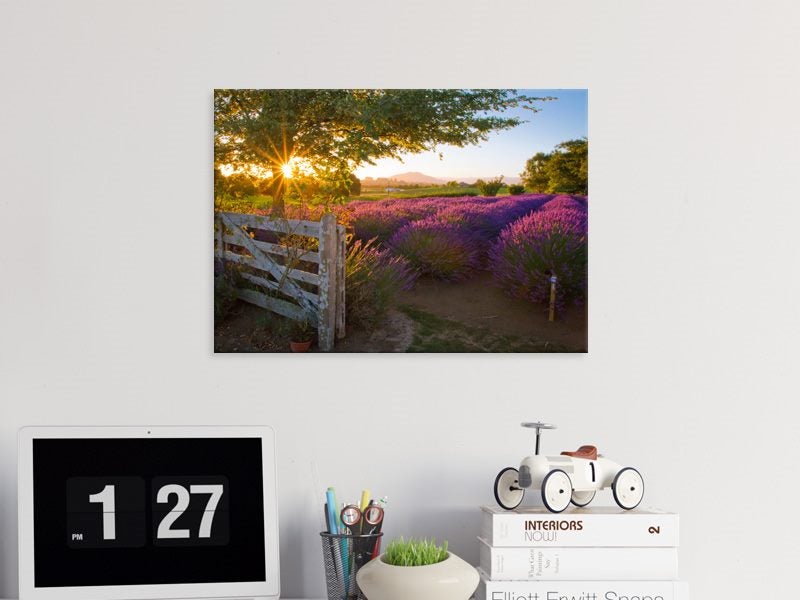 Landscape - Farm - Purple - New Zealand - Nature - Wall Art - Art Prints Carousel 2
