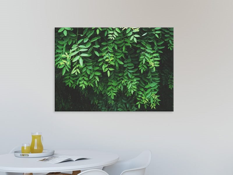 Green - Leaves - Nature - Landscape - Wall Art - Art Prints Carousel 2