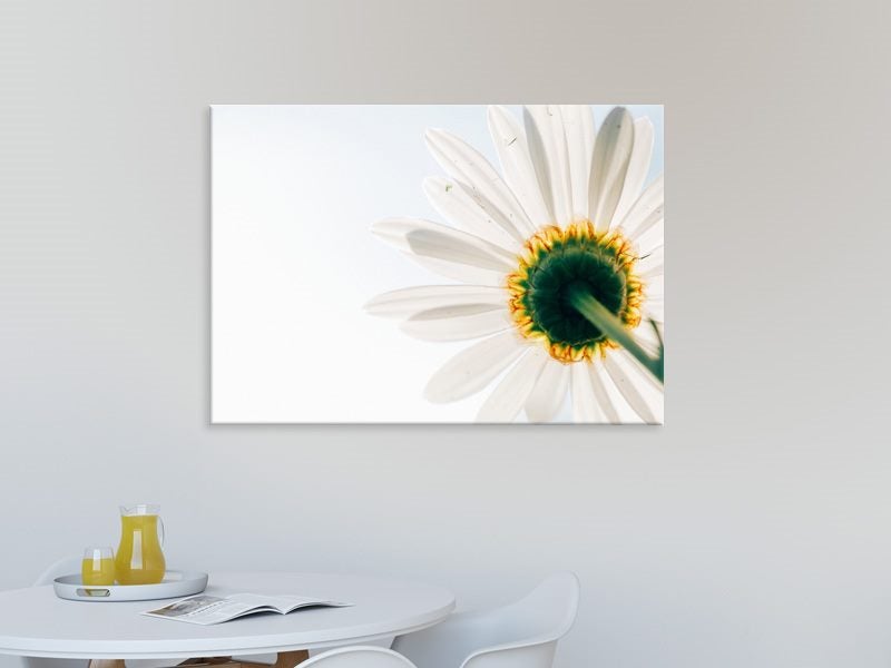 Flower - White - Contemporary Art - Floral - Wall Art - Artwork - Art Prints Carousel 2