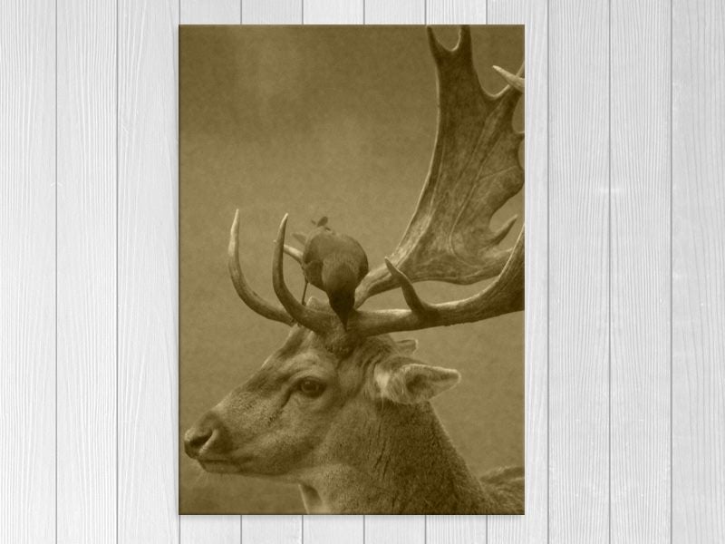 Deer Stag - Bird - Animal - Vintage - Wall Art - Artwork - Art Prints Carousel 1