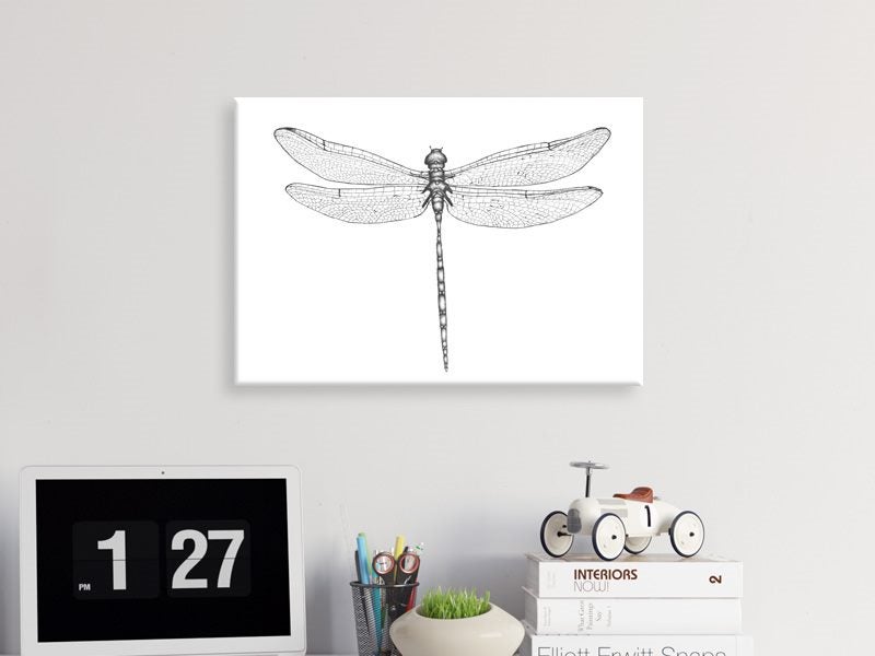 Dragonfly - Contemporary Art - Black And White - Wall Art - Art Prints Carousel 2