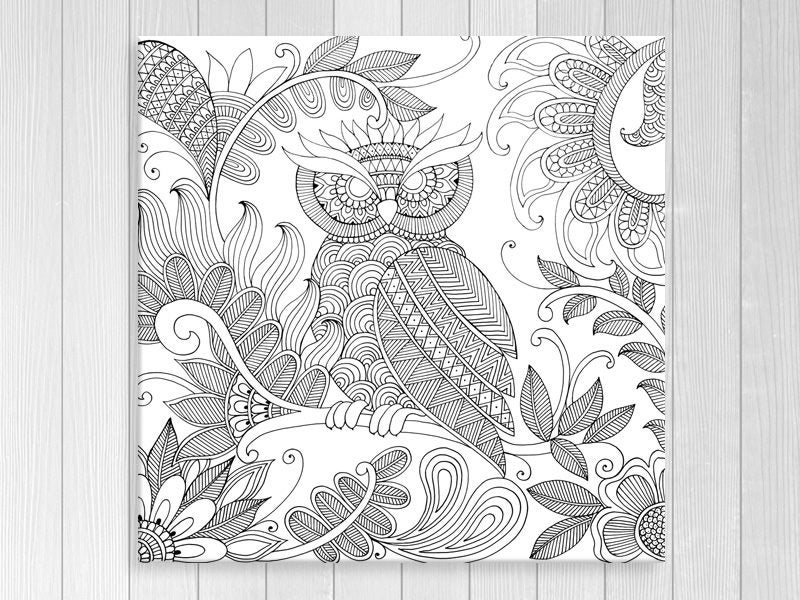 Owl - Bird - Black And White - Contemporary Art - Wall Art - Art Prints Carousel 1
