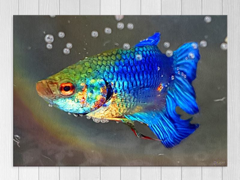 Fish - Blue - Green - Pop Art - Contemporary Art - Sea - Wall Art - Art Prints Carousel 1