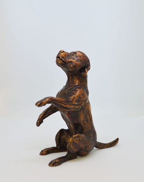 "Staffie Yoga" Mini Bronze Staffordshire Terrier Dog Sculptures by NZ Artist Carousel 1