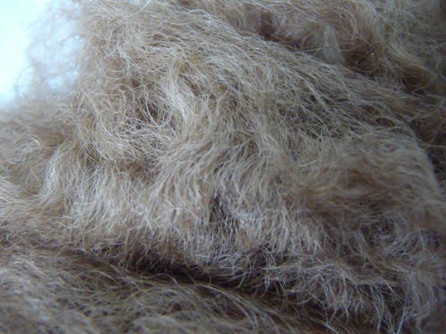 ALPACA FIBRE Carousel 1