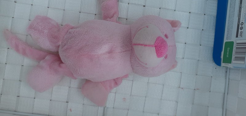 PEPPA PIG DVD & PINK BEAR SOFT TOY Carousel 5