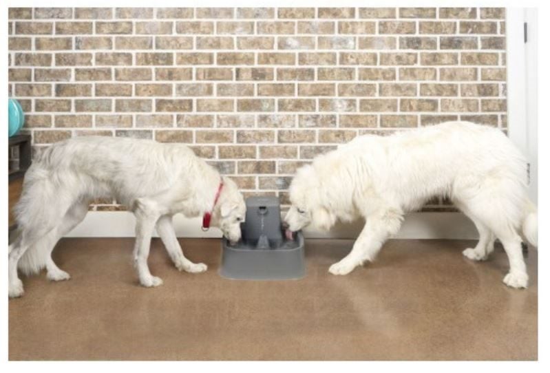 DRINKWELL PET FOUNTAIN 7.5 LITRES for DOGS Carousel 2