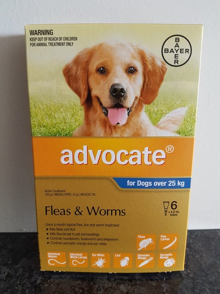Advocate Dog 25kg+ 6 pack with Afterpay Carousel 1