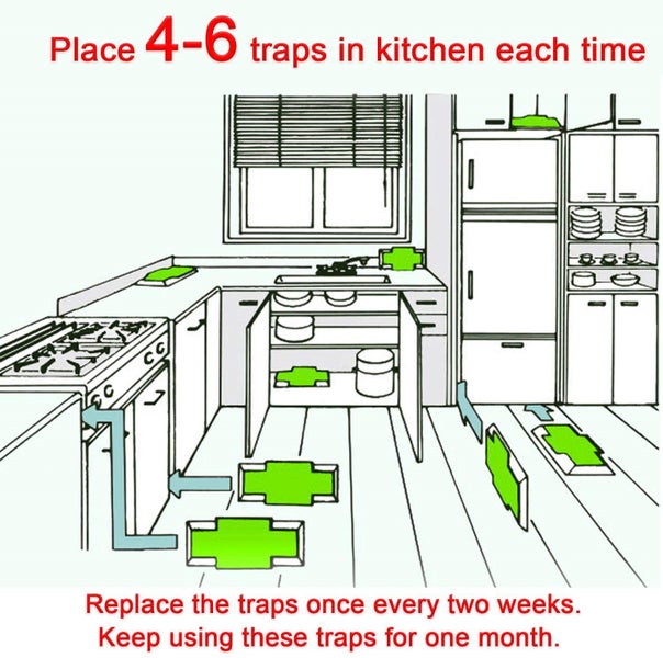 Cockroach Traps ( PACK OF 3) Carousel 2