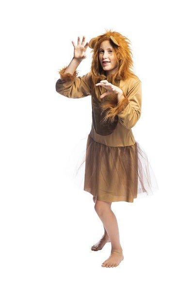 KIDS ANIMAL LION COSTUME CHILD ASSORTED SIZES Carousel 2