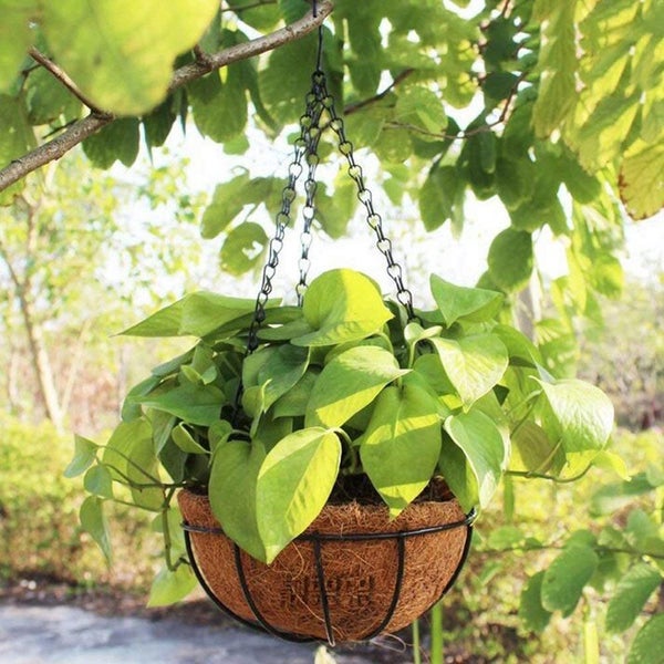 Planter Basket New Carousel 6