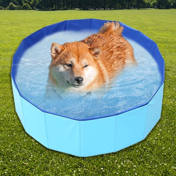 Pet Bathing Pool Outdoor Foldable Tub for Pets Dogs Cats Carousel 5