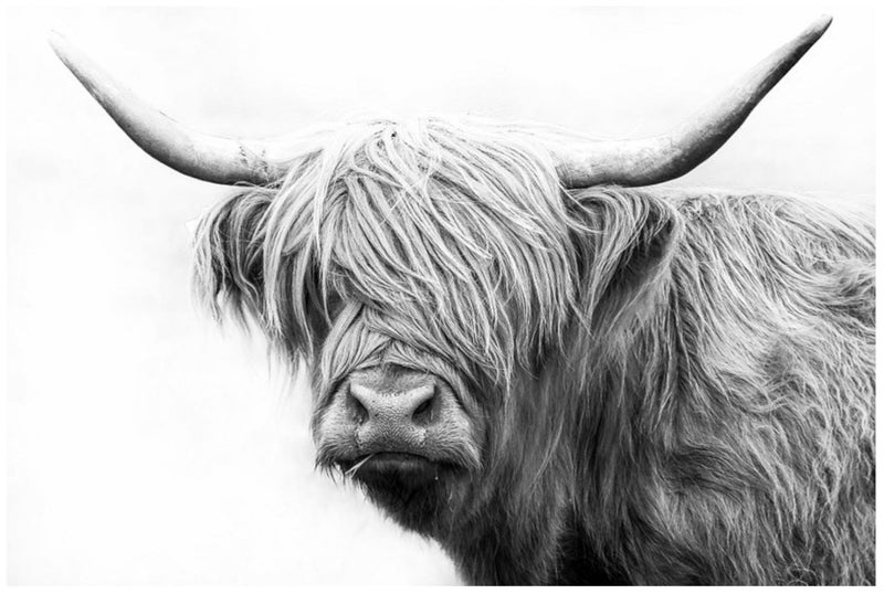 ON SALE FREE SHIPPING - 1 Piece Canvas Art Print - Highland Cow Carousel 1
