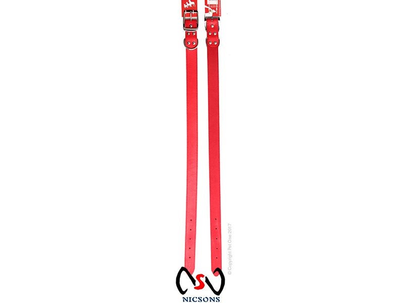 Dog Collar - Pet One Leather 60cm Red Carousel 1