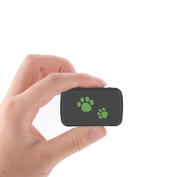 PET Realtime GPS/GSM System For Cats Dogs FREE APP For Mobile Dog Cat Carousel 2