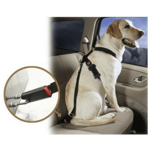 Dog Pet Adjustable Safety Seat For Car Belt Carousel 1