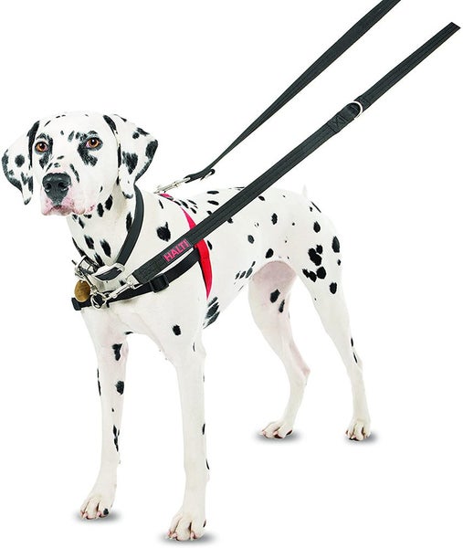 HALTI Dog Harness Stops Pulling Kindly Size Medium Carousel 2